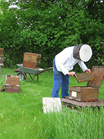 Peter Heel, Die Bienen